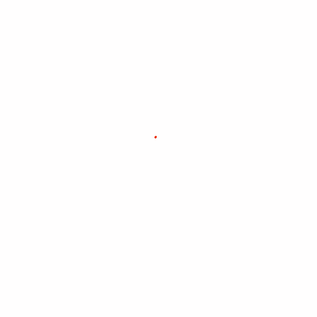 Animated Logo DSMH